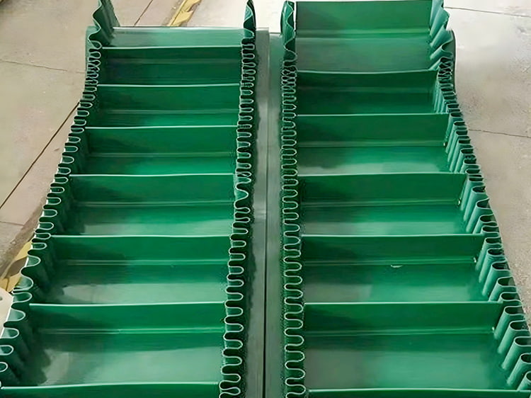 Skirted Conveyor