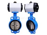 Pneumatic Butterfly Valve
