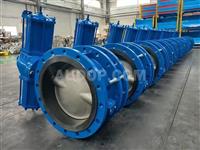 Pneumatic Butterfly Valve