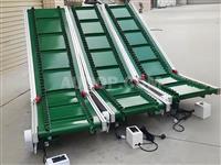Skirted Inclined Belt Conveyor